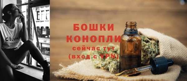 сатива Богородск