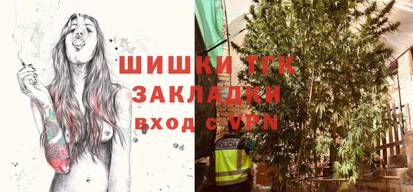 хмурый Богородицк