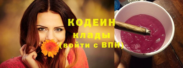 хмурый Богородицк
