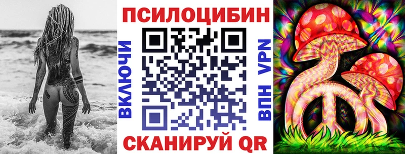 Псилоцибиновые грибы Cubensis  Петрозаводск 